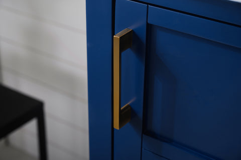 Bailey 24" Single Bathroom Vanity Set - Navy Blue