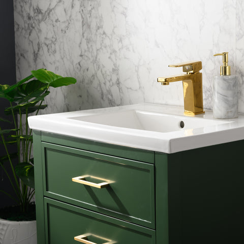 Clara 24" Single Bathroom Vanity Set - Vogue Green