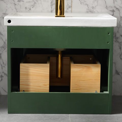 Danbury 20" Single Bathroom Vanity Set - Vogue Green
