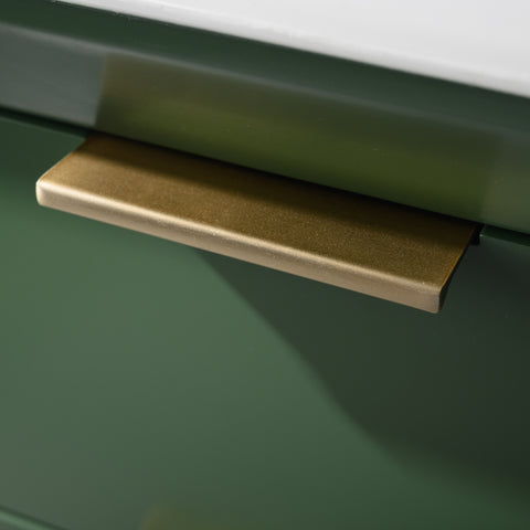 Danbury 24" Single Bathroom Vanity Set - Vogue Green